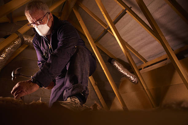 Best Insulation Installation Services in Maple Heights, OH